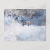 WOLF WINTERTERRITORIA BRIEFKAART (Voorkant)