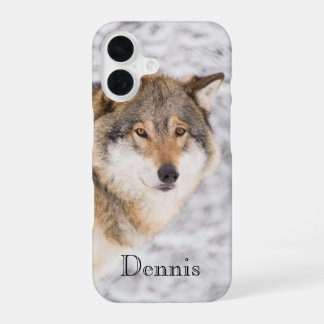 Wolf winterwoud iPhone 16 hoesje
