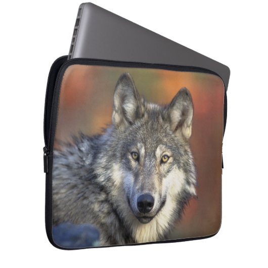 Wolf Wisdom Laptop Sleeve (Voorkant Rechts)