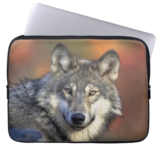 Wolf Wisdom Laptop Sleeve (Voorkant)