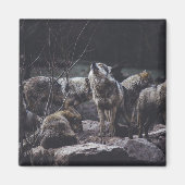 Wolf Wolf Wolf Magneet (Voorkant)