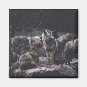 Wolf Wolf Wolf Magneet