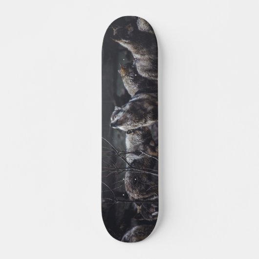 Wolf Wolf Wolf Persoonlijk Skateboard (Voorkant)