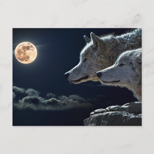 Wolf Wolven Howling bij de Volledige maan bij nach Briefkaart (Voorkant)