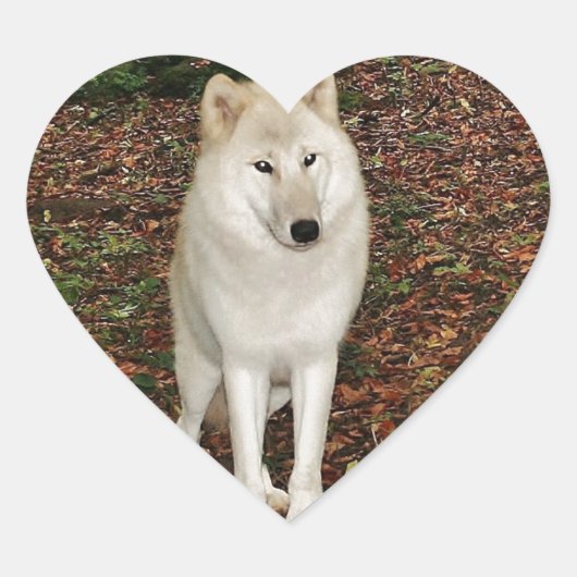 Wolf Wolven Natuur Park Land Dier Wild Bos Hart Sticker (Voorkant)