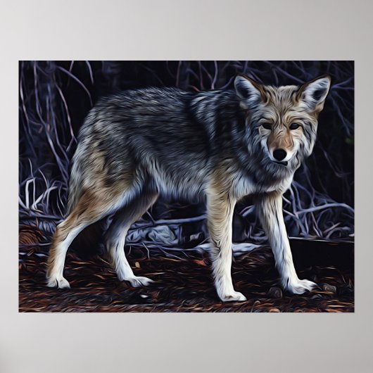 Wolf Wolves Beauful Waterverf Poster (Voorkant)