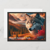 Wolf Zonsondergang Denali State Park Ansichtkaart Briefkaart (Voorkant / Achterkant)