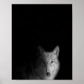 Wolf, zwart-wit, moderne fotografie poster (Voorkant)
