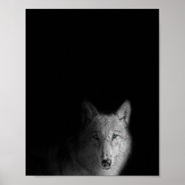 Wolf, zwart-wit, moderne fotografie poster