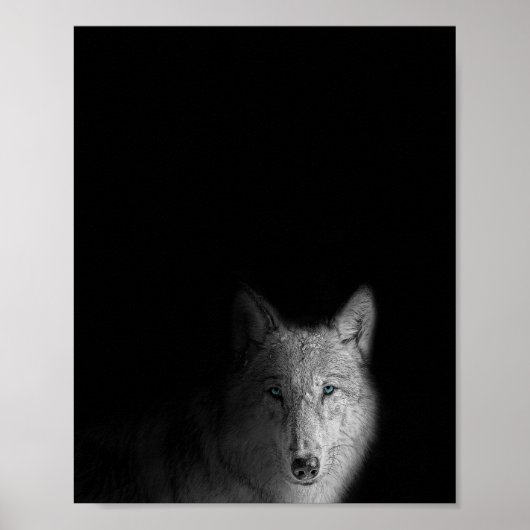 Wolf, zwart-wit, moderne fotografie poster (Voorkant)