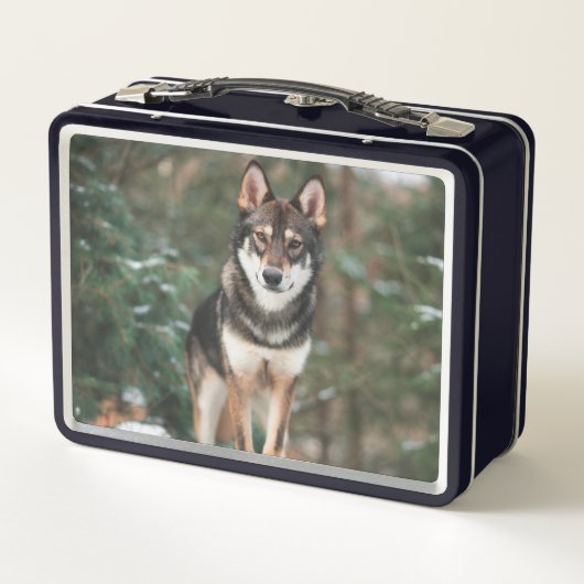 Wolfdog (Achterkant)