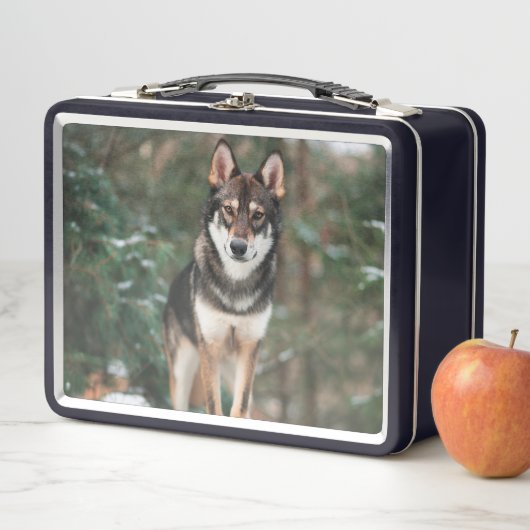 Wolfdog (In situ)