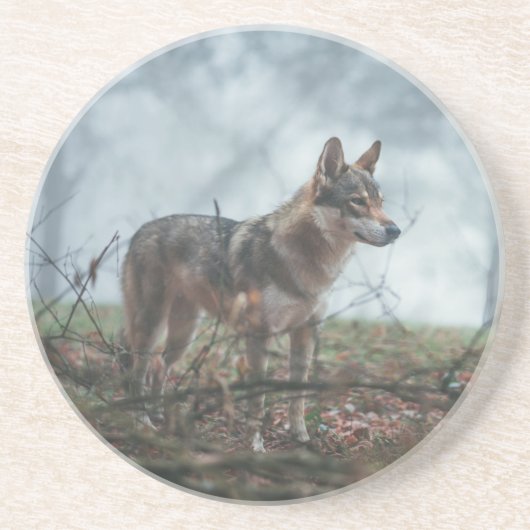 Wolfdog Achterbaan Zandsteen Onderzetter (Voorkant)