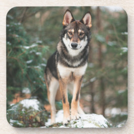 Wolfdog Beverage Coaster Bier Onderzetter