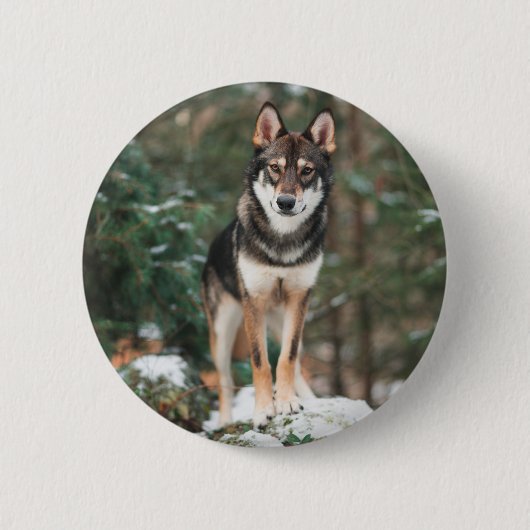 Wolfdog Button (Voorkant)