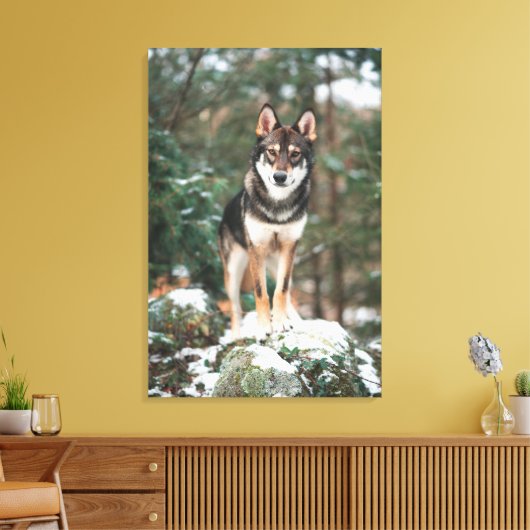 Wolfdog Canvas Afdruk (Insitu (Woonkamer))
