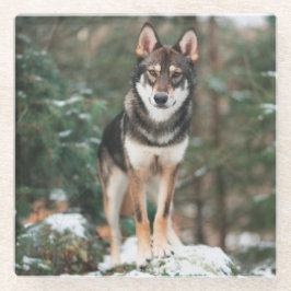 Wolfdog Glazen Onderzetter