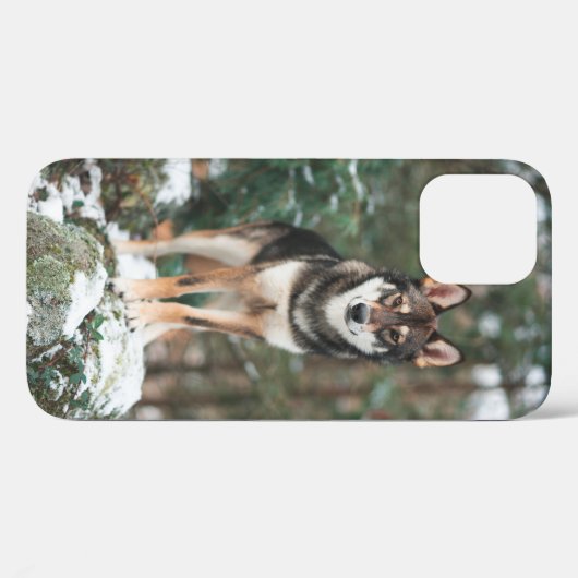 Wolfdog iPhone 12 Hoesje (Achterkant (horizontaal))