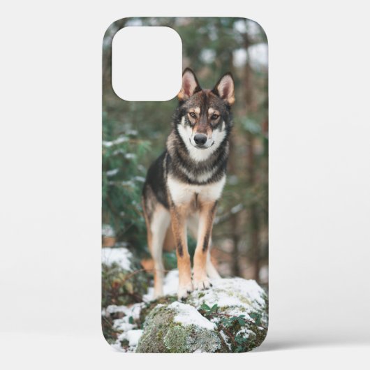 Wolfdog iPhone 12 Hoesje (Achterkant)