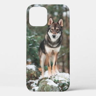 Wolfdog iPhone 12 Hoesje
