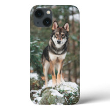 Wolfdog iPhone 13 Hoesje
