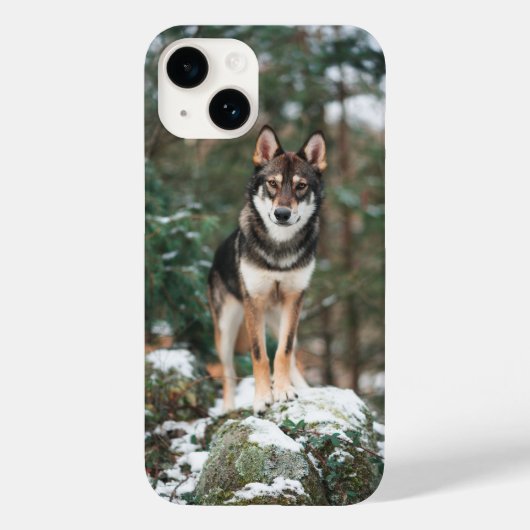 Wolfdog iPhone 14 Hoesje (Achterkant)