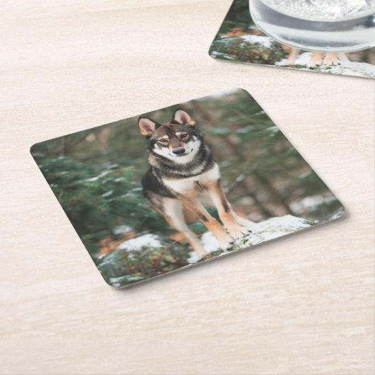 Wolfdog Kartonnen Onderzetters (Schuin)