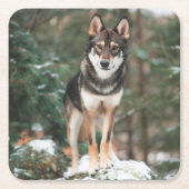 Wolfdog Kartonnen Onderzetters (Voorkant)