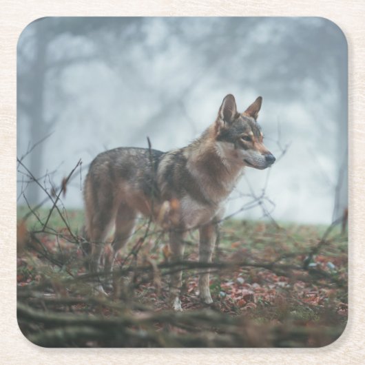 Wolfdog Kartonnen Onderzetters (Voorkant)
