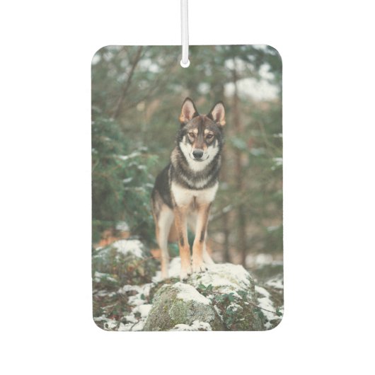 Wolfdog Luchtverfrisser (Voorkant)