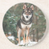 Wolfdog Onderzetter (Voorkant)