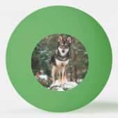 Wolfdog Pingpongbal (Achterkant)