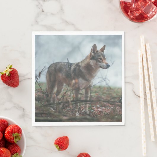 Wolfdog Servet (Insitu)