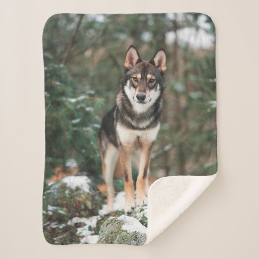 Wolfdog Sherpa Blanket Deken (Voorkant)