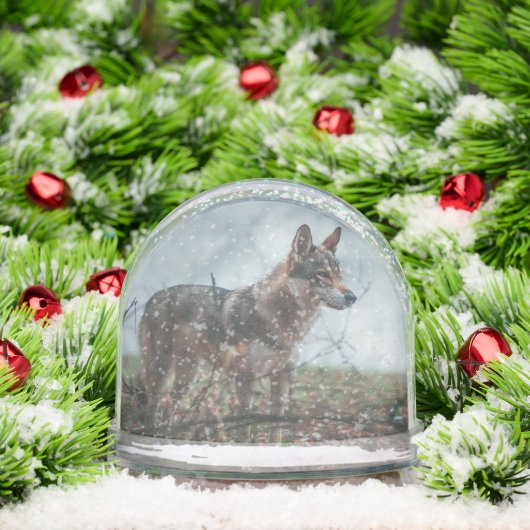 Wolfdog Sneeuwbol (Kerstmis)