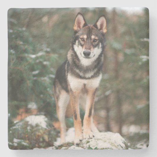 Wolfdog Stone Coaster Stenen Onderzetter (Voorkant)