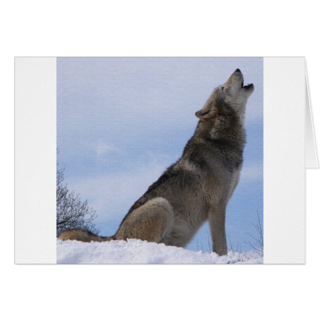 Wolfengehuil (Voorkant Horizontaal)