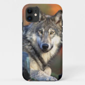 Wolffoto Case-Mate iPhone Case (Achterkant)