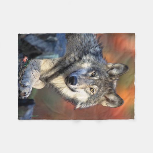 Wolffoto Fleece Deken (Voorkant (Horizontaal))