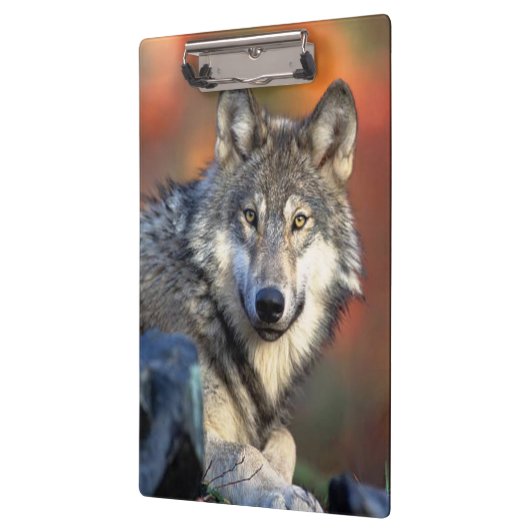 Wolffoto Klembord (Links)