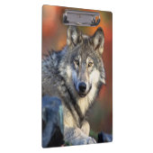 Wolffoto Klembord (Rechts)