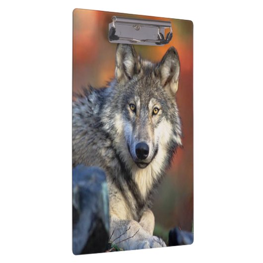 Wolffoto Klembord (Rechts)