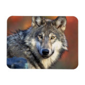 Wolffoto Magneet (Horizontaal)