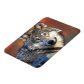 Wolffoto Magneet (Linkerzijde)