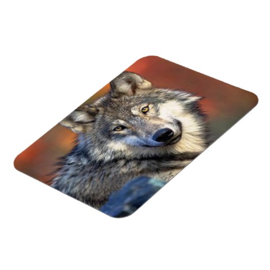 Wolffoto Magneet (Linkerzijde)