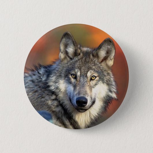 Wolffoto Ronde Button 5,7 Cm (Voorkant)
