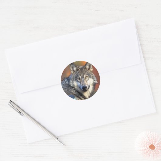 Wolffoto Ronde Sticker (Envelop)