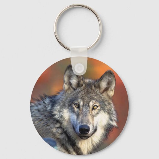 Wolffoto Sleutelhanger (Voorkant)