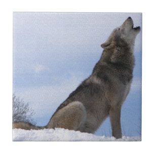Wolfgehuil Tegeltje