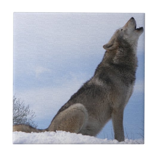 Wolfgehuil Tegeltje (Voorkant)
